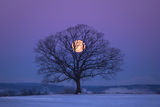Holding the Moon print