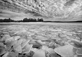 Ice Gathering print