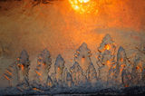Ice Forest at Dawn print