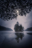 Under the Pines print