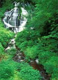 Whitmore Falls print