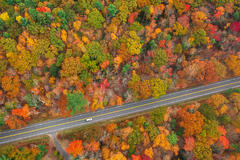 Autumn Drive