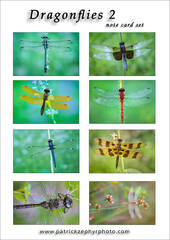 Dragonfly 2 Set