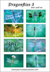 Dragonflies 3 Set