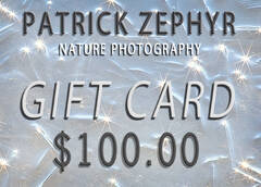$100 Gift Card