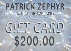 $200 Gift Card