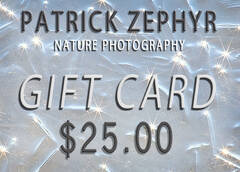 $25 Gift Card