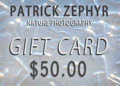 $50 Gift Card