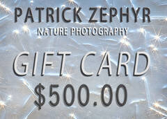 $500 Gift Card