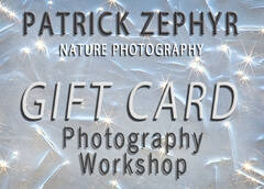 Photography Workshop