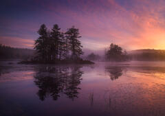 Harvard Pond