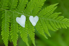 Two Hearts