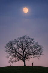 Reaching for the Moon