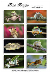 Treefrogs Set