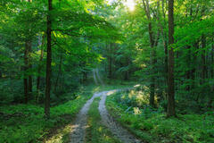Two Roads