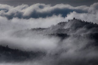 Quabbin Fog