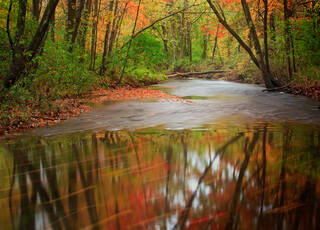 Autumn Flow