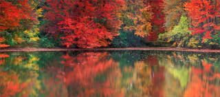 Autumn Reflection