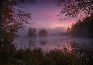 Autumn Pink