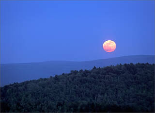 Harvest Moon