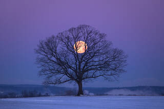 Holding the Moon