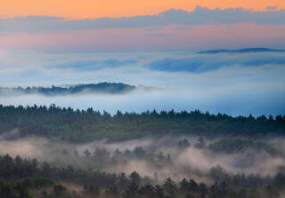 Layers of Fog