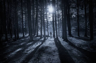 Moon Shadows