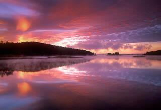 Morning Bliss