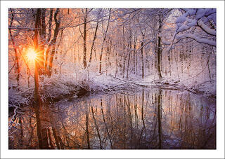 Winter Reflections, MA