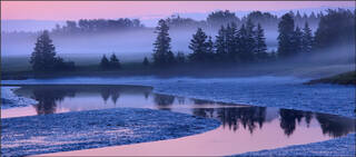 Pink Dawn