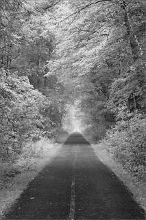 Rail Trail