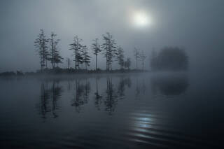Ripples