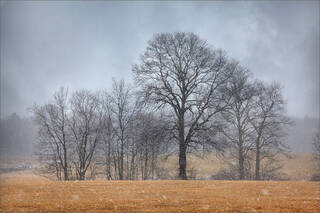 Snow Storm