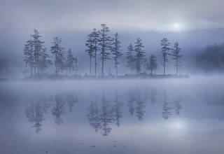 Tully Lake Fog