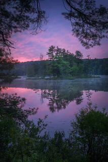 Violet Dawn