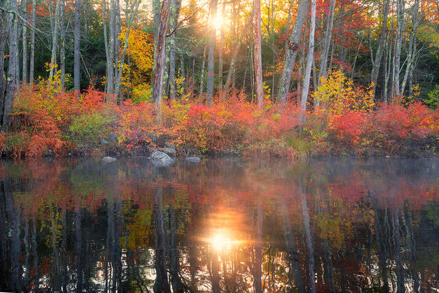 Tully lake print