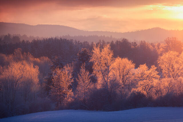 Amherst Hills print