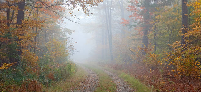 Autumn Mystery print