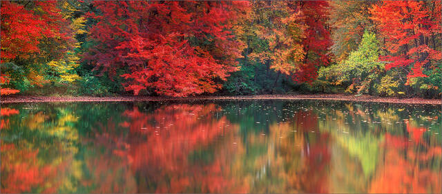 Autumn Reflection print