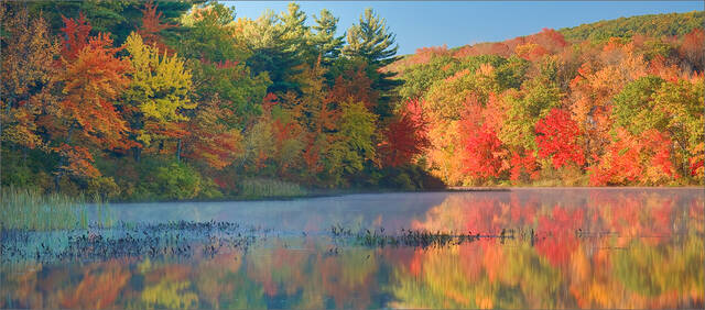 Autumn Stillness print