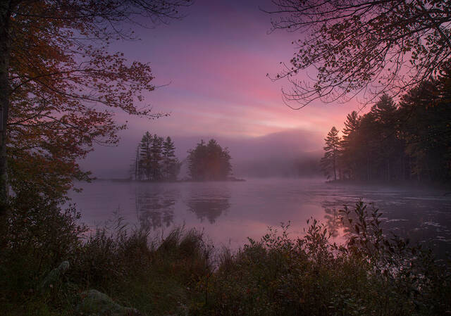 Autumn Pink print