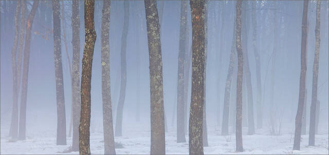 Blue Fog print