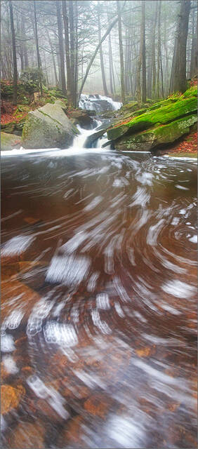 Bubble Trail print