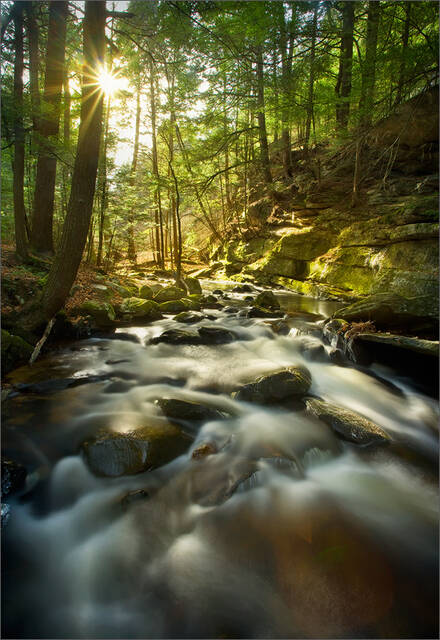 Buffam Brook print