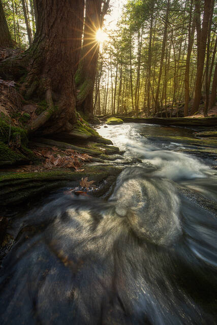 Dean Brook print