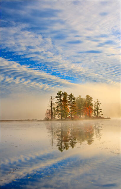 Harvard Pond print