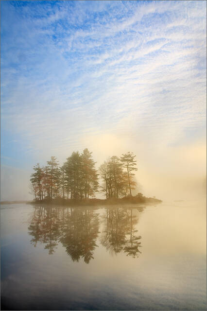 Harvard Pond print