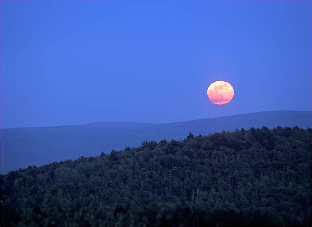 Harvest Moon print
