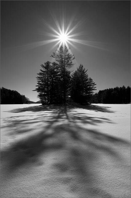 Island Shadow print