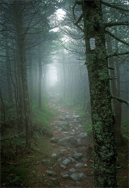 The Long Trail print